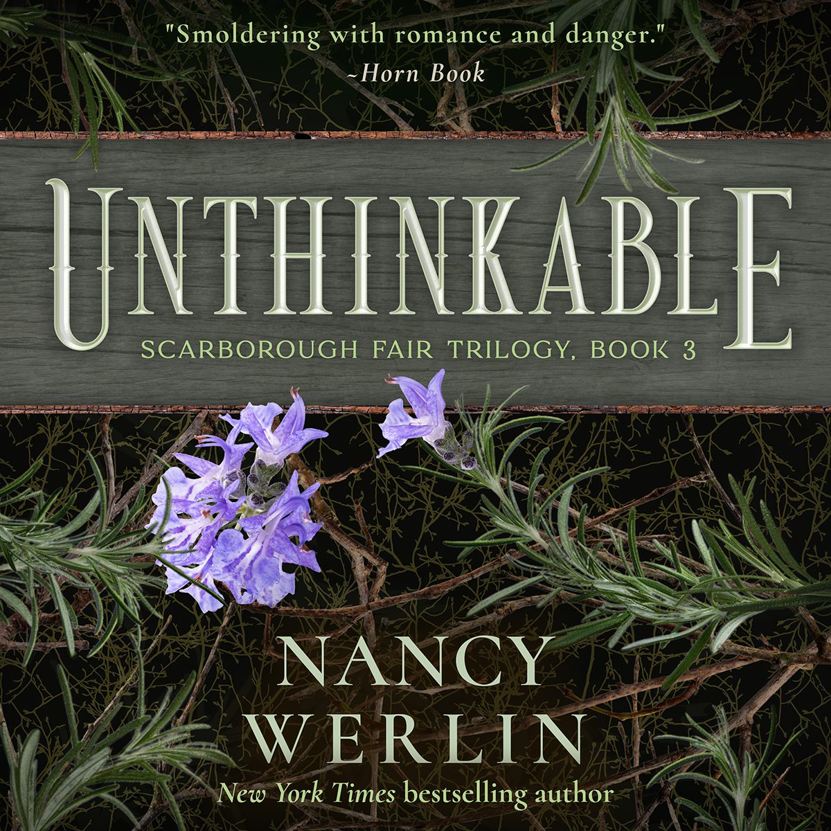 fantasy audiobook book cover design by Los Angeles freelance graphic designer Mich Fisher (Artful Cover) - Scarborough Fair Trilogy - Unthinkable by Nancy Werlin