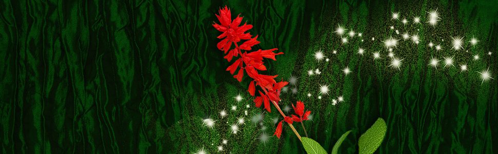 Mich Fisher (Artful Cover) Amazon quote banner graphic - Scarborough Fair Trilogy by Nancy Werlin