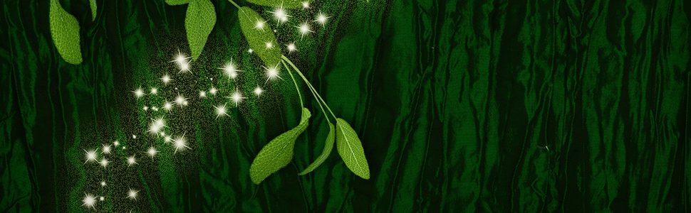 Mich Fisher (Artful Cover) Amazon quote banner graphic - Scarborough Fair Trilogy by Nancy Werlin