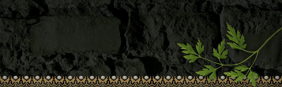 Mich Fisher (Artful Cover) Amazon quote banner graphic - Scarborough Fair Trilogy by Nancy Werlin