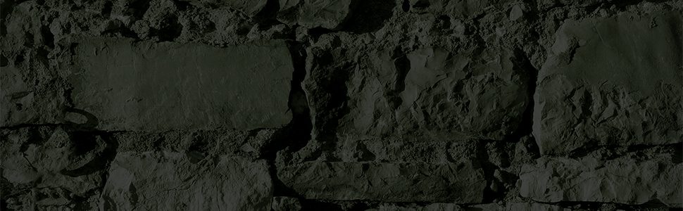 Mich Fisher (Artful Cover) Amazon quote banner graphic - Scarborough Fair Trilogy by Nancy Werlin