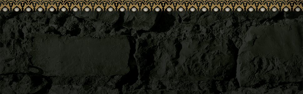 Mich Fisher (Artful Cover) Amazon quote banner graphic - Scarborough Fair Trilogy by Nancy Werlin