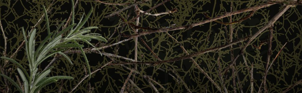 Mich Fisher (Artful Cover) Amazon quote banner graphic - Scarborough Fair Trilogy by Nancy Werlin